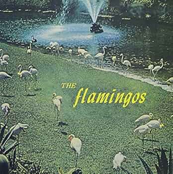 フラミンゴス [CD] Amazon.co.jp: フラミンゴス: ミュージック